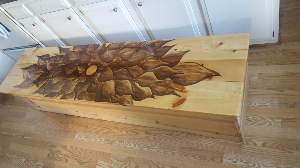 pics-from-dans-phone-2563