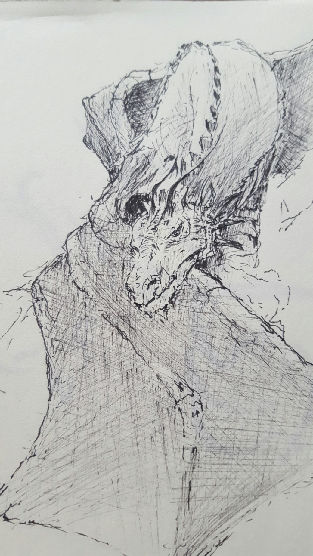 pics-from-dans-phone-2647